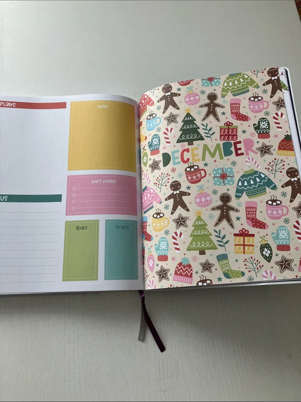 The Creative Expert 17 Month Planner -  (August 2026-December 2027) NWT